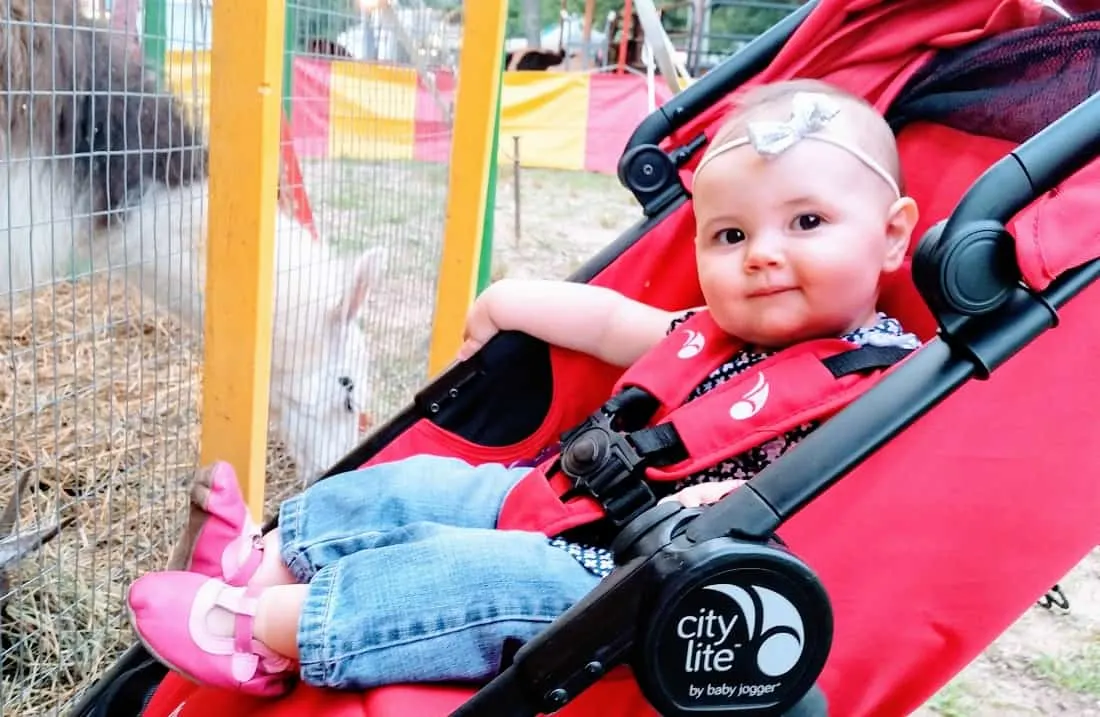 Baby girl looks at animals through fence from jogging stroller.