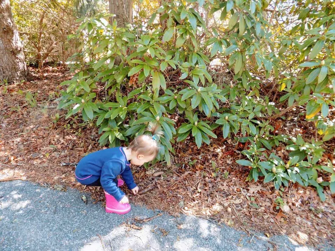 Little girl picks up leaves off paved trail.