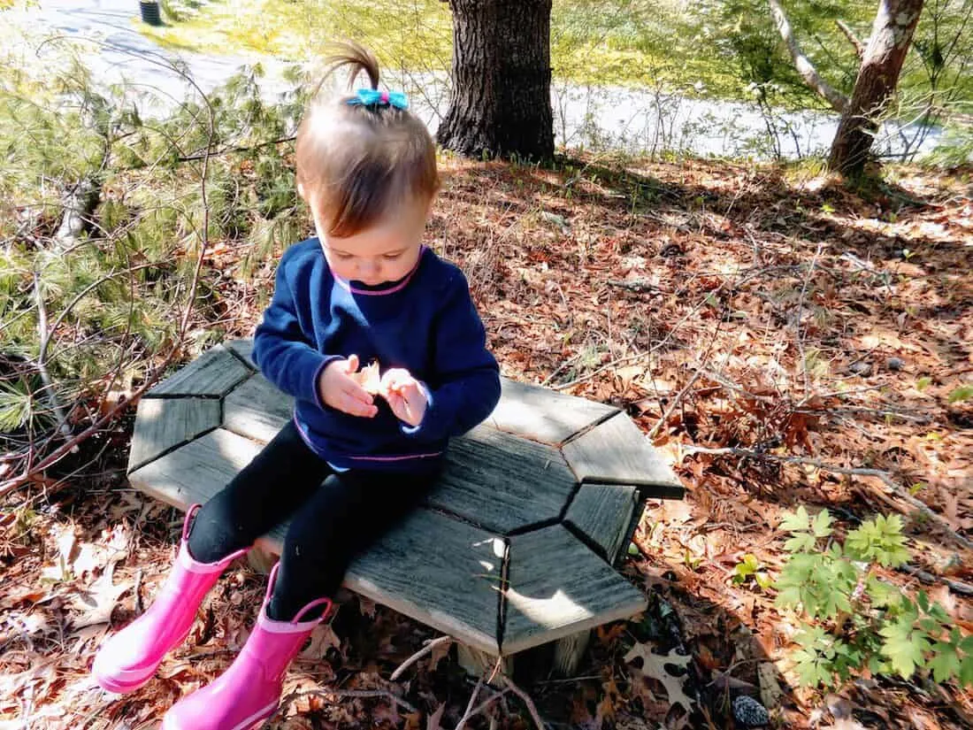 Toddler girl plays with leaves in woods.