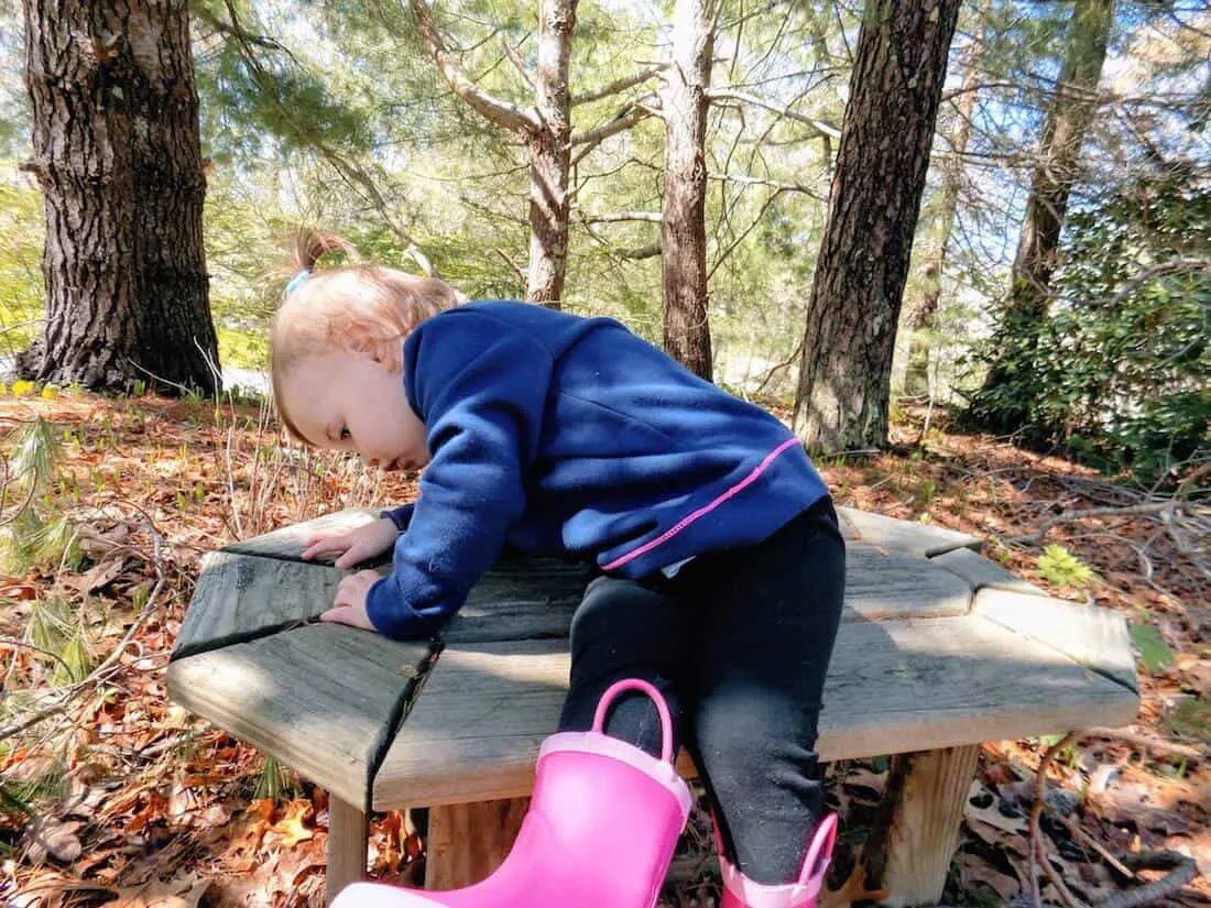 Little girl examines outdoor wooden bench.