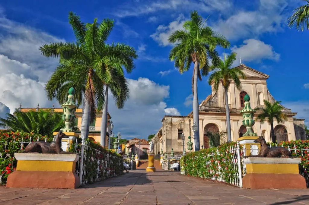 Tall, leafy palm trees in front of Spanish style buildings.