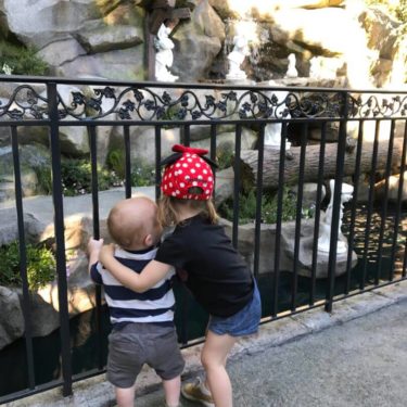 Children look through fence at Disneyland.