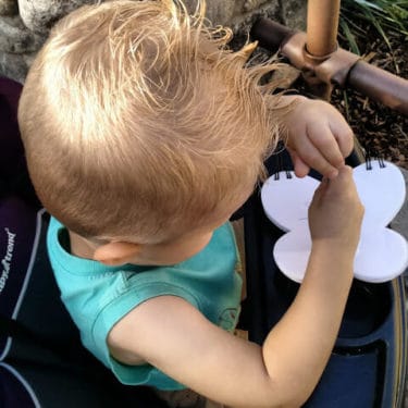 Child in stroller at Disney.