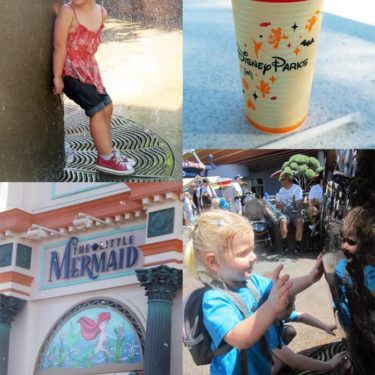 Image collage of Disneyland activities.