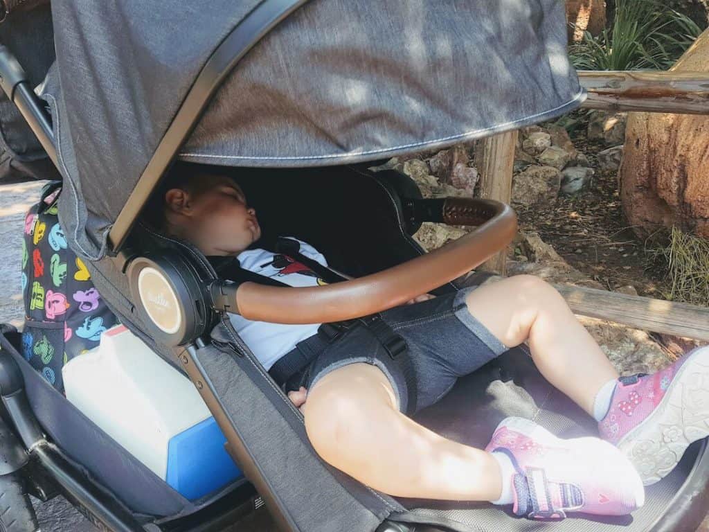 Sleeping toddler in stroller at Disney park.