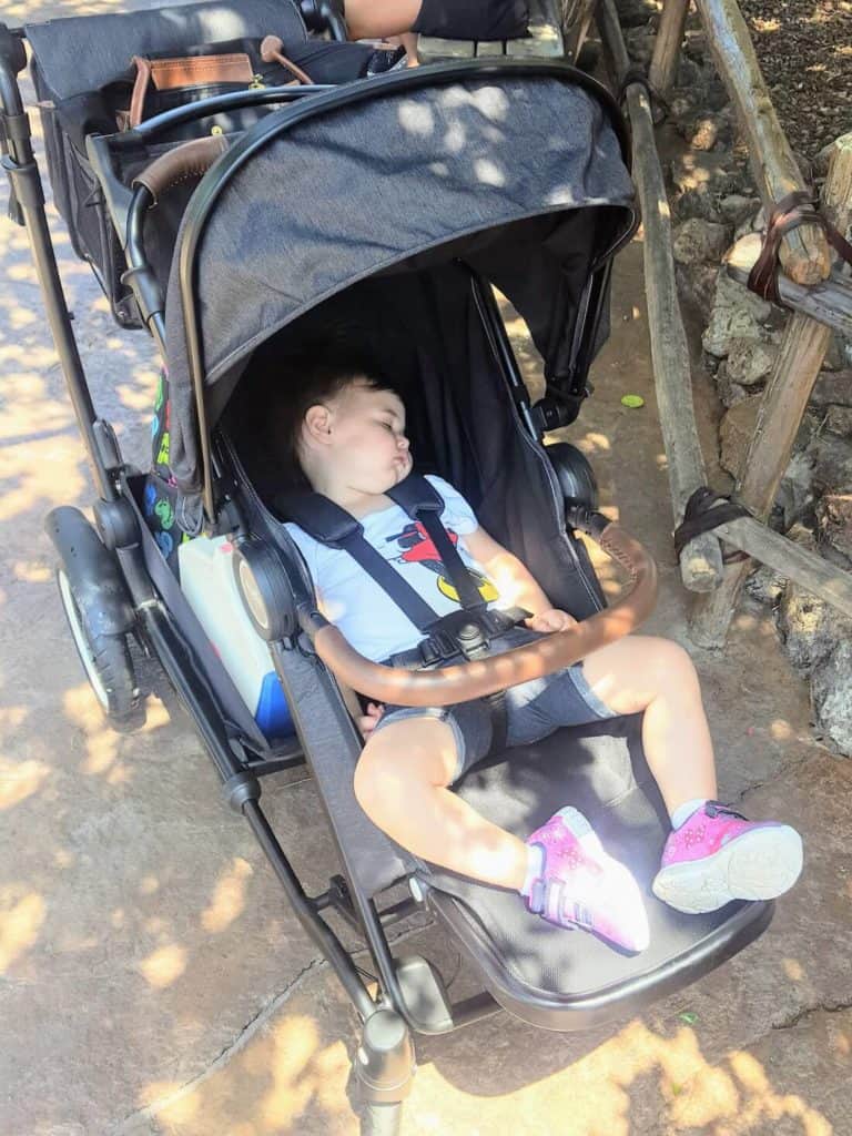 Little girl sleeps in stroller at Disney World.