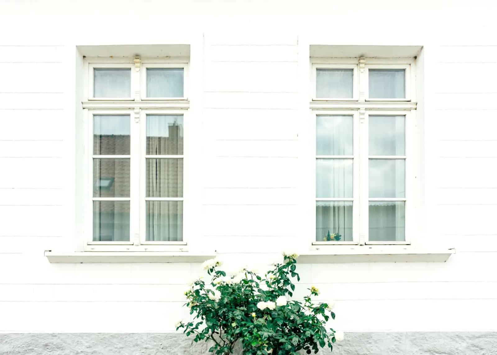 A house with bushes in front of a window.