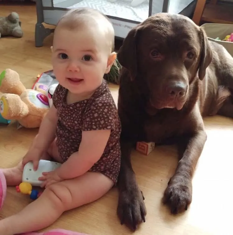 Baby girl sits next to dog.