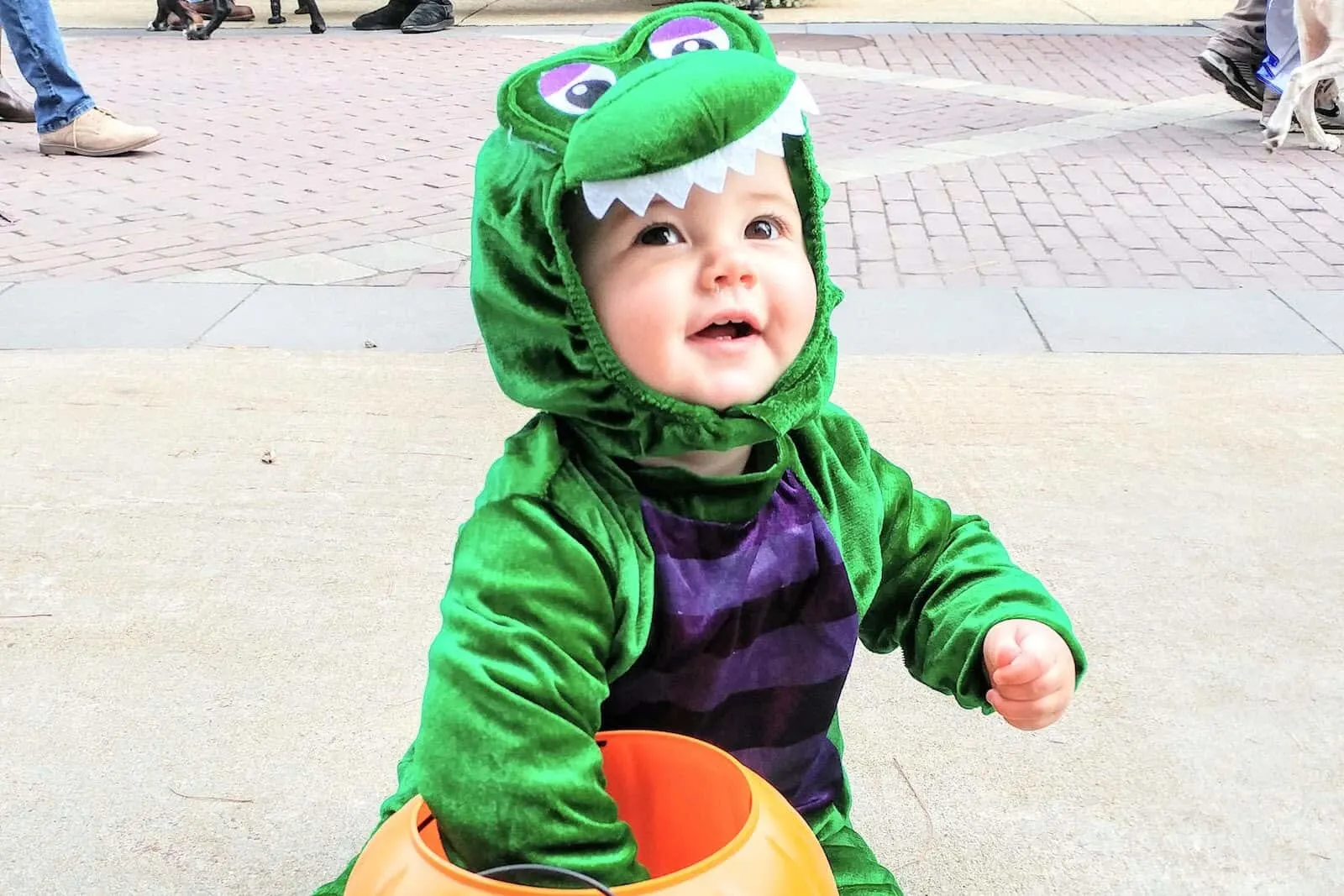 Girl wears dragon Halloween costume.