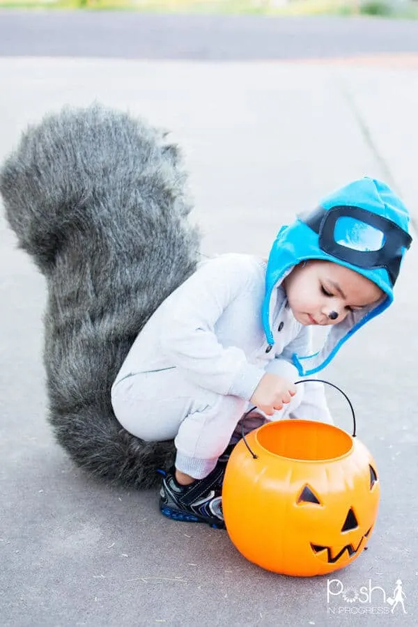 Small child wears squirrel costume with plastic pumpkin.