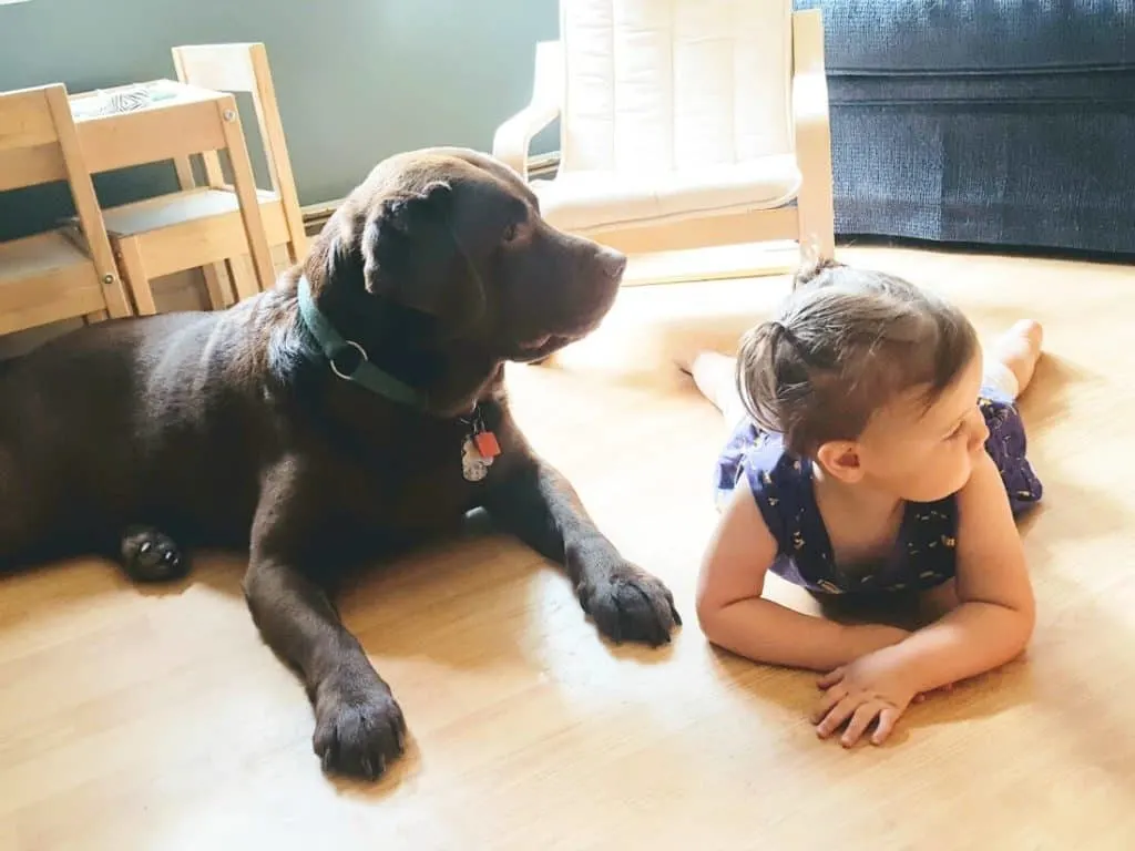 Little girl lays on floor with pet dog.