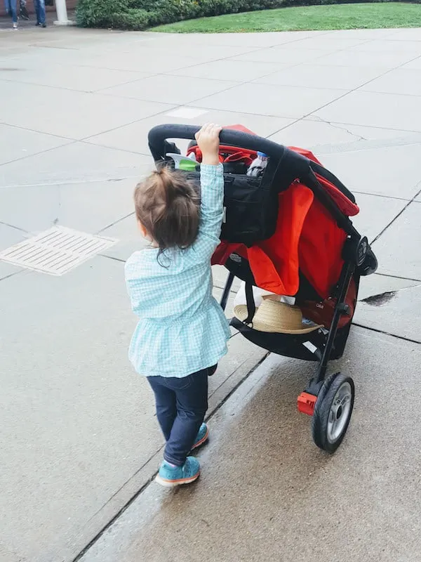 Toddler girl pushes red stroller.