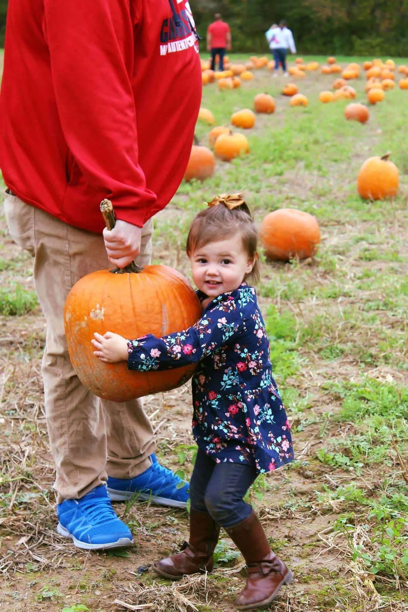 Toddler hugs pumpkin.
