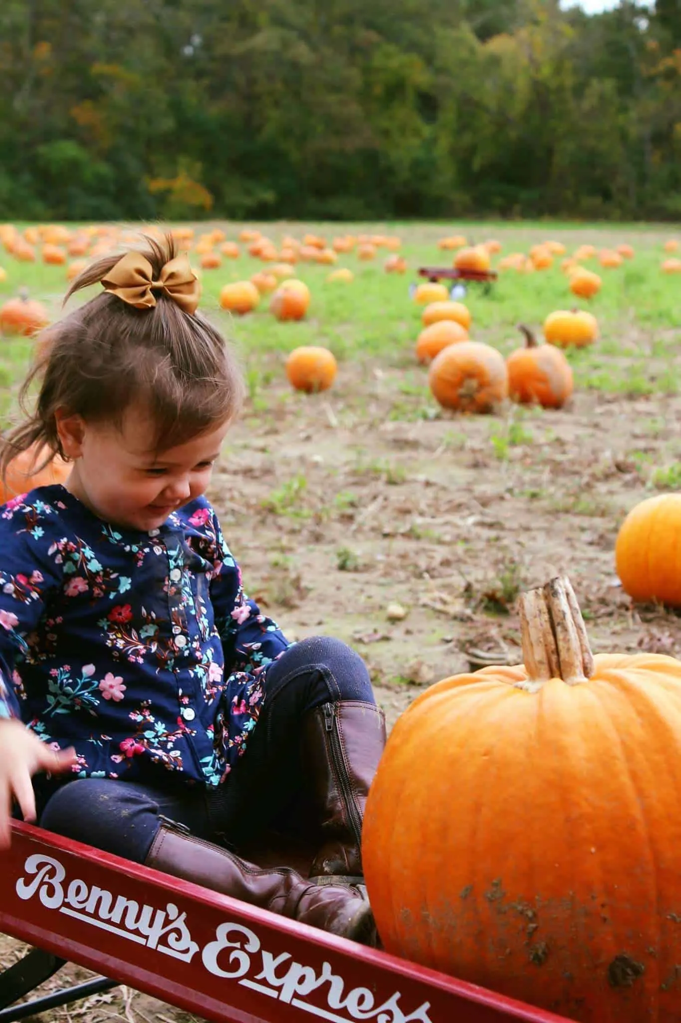 Toddler girl rides with pumpkin in red wagon.