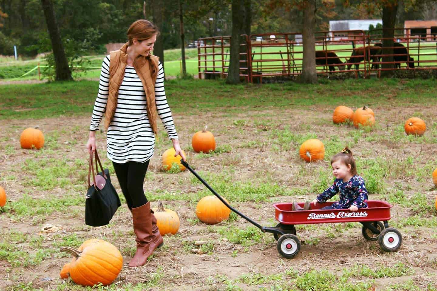 Mom pulls daughter through pumpkin patch.