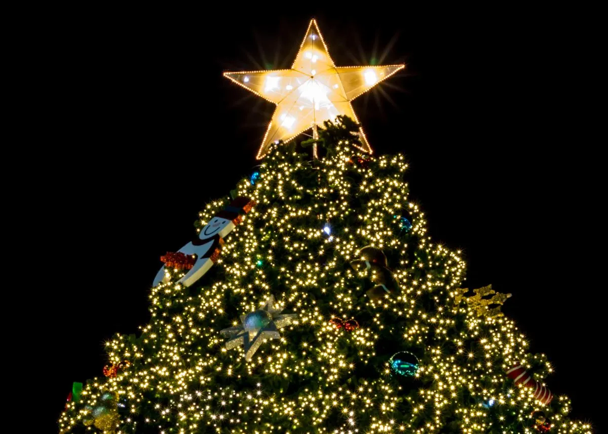 Christmas tree lighting ceremony.