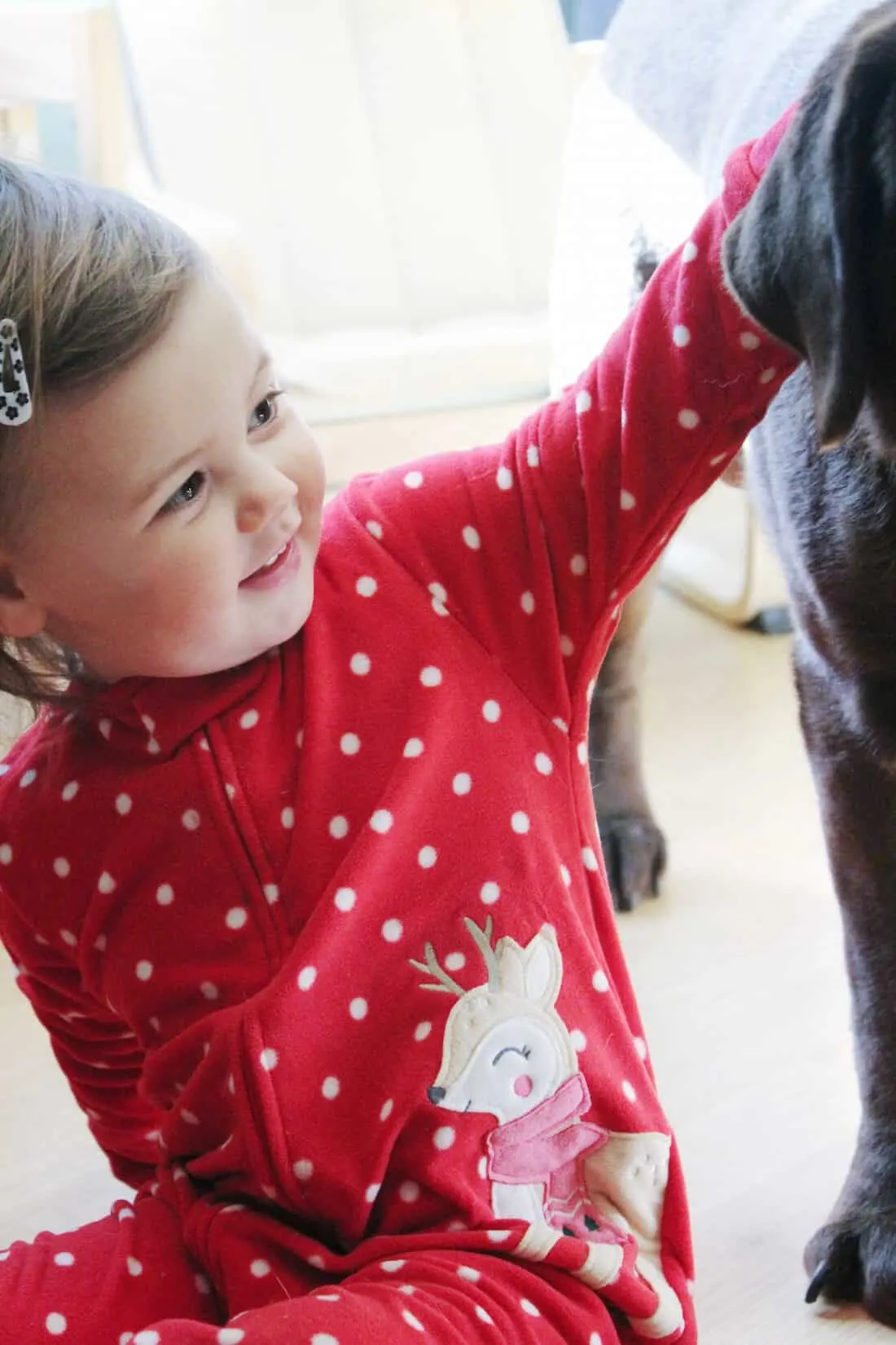 Girl in holiday pajamas plays with dog.