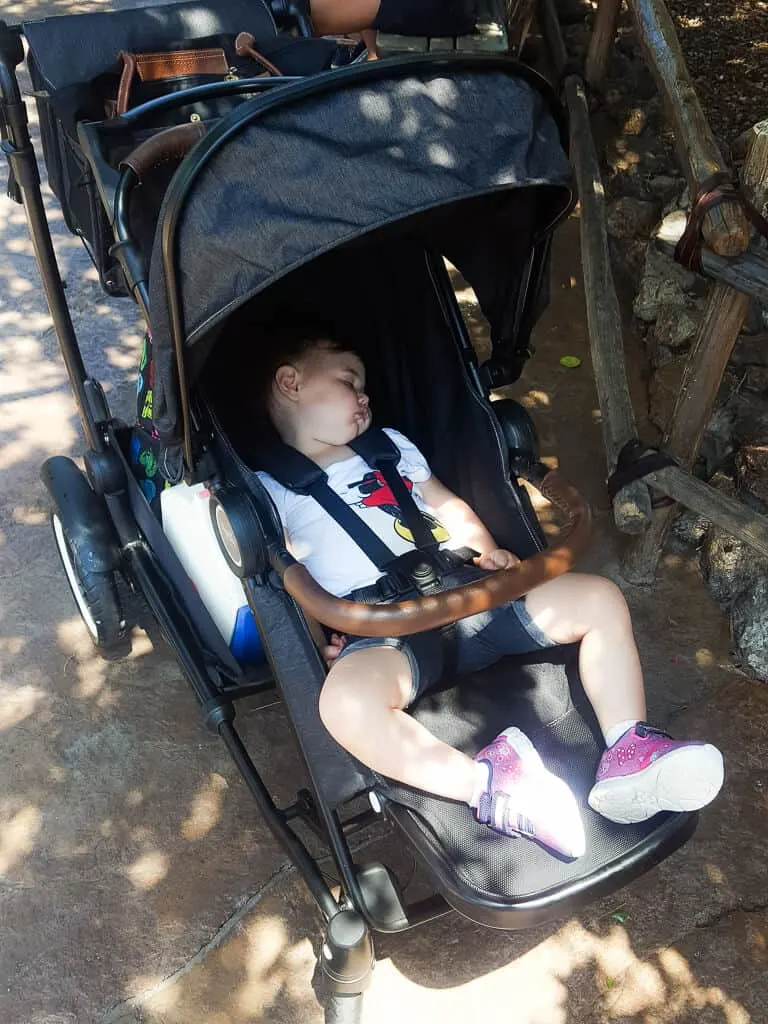 Toddler girl sleeps in stroller at Disney.