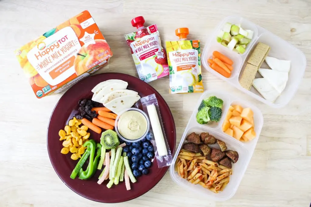 Several examples of great toddler lunch ideas, both for home on a plate and for daycare in a lunch container.