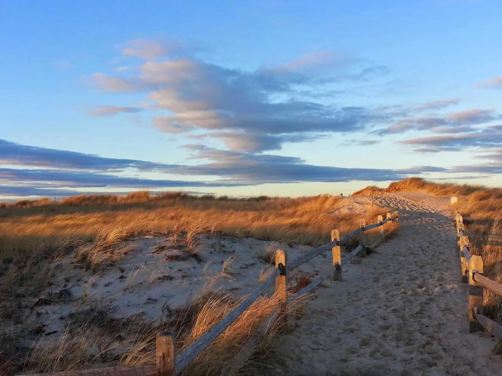 View of beach in Cape Cod.