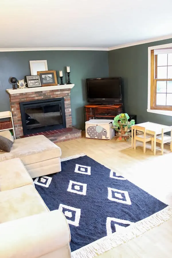 Family living room with essential infant and toddler items.
