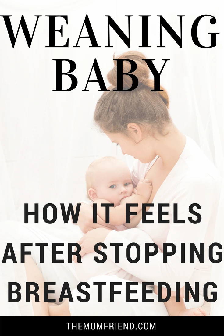 Pinterest graphic for After Weaning: How it Feels After Stopping Breastfeeding.