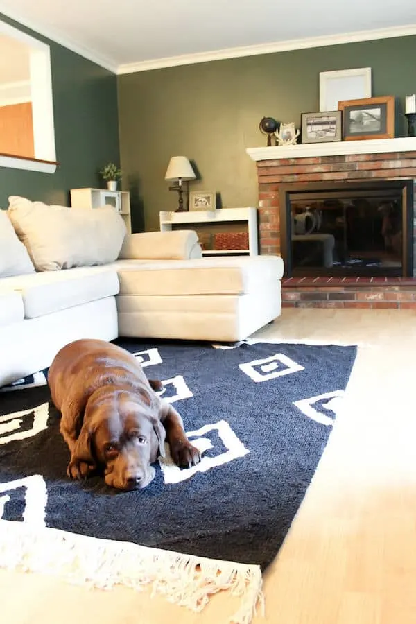 Dog lays on rug in living room.