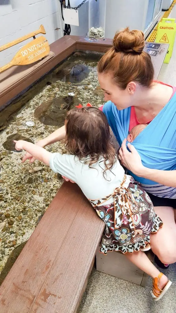 Mother holds baby in sling and interacts with toddler at Cape Cod attraction.