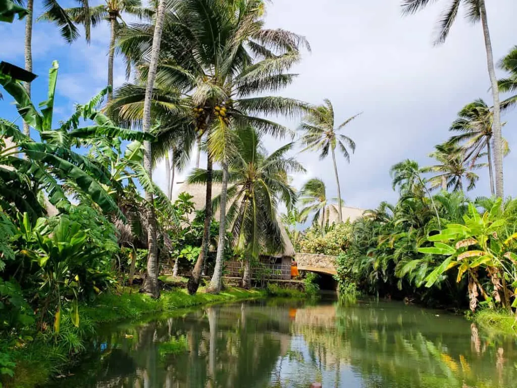 Body of water lined with vegetation and palm trees in Hawaii.