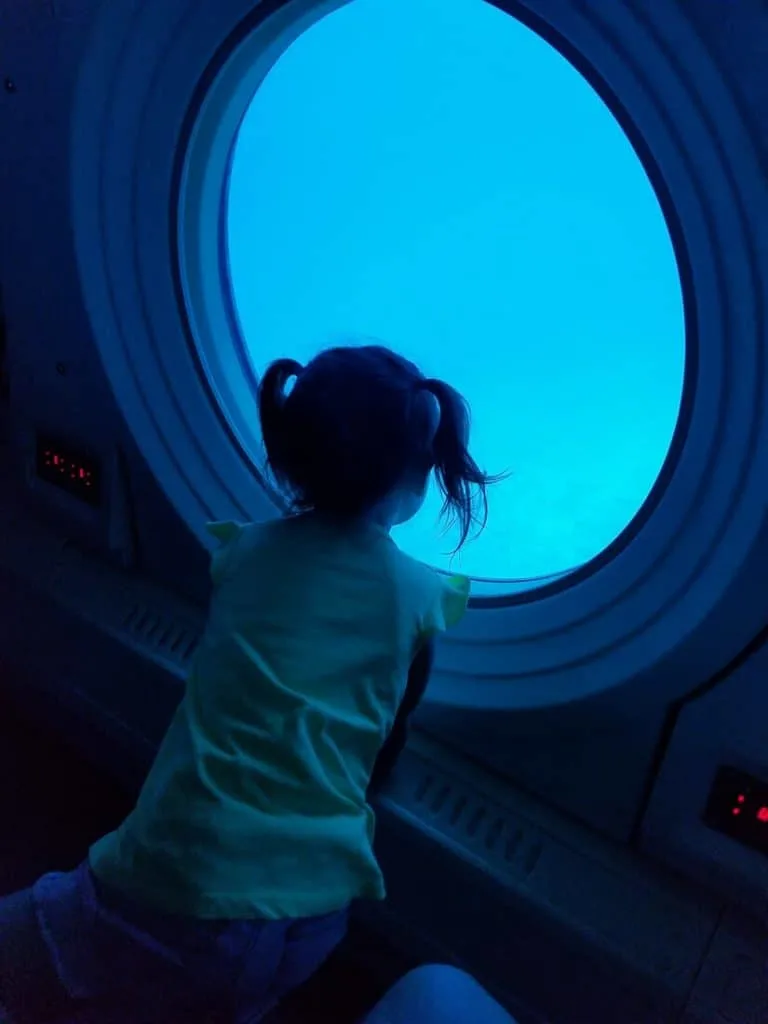 Girl looks through glass at aquarium. 