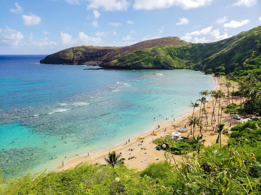 Aerial view of beach in Oahu Hawaii.