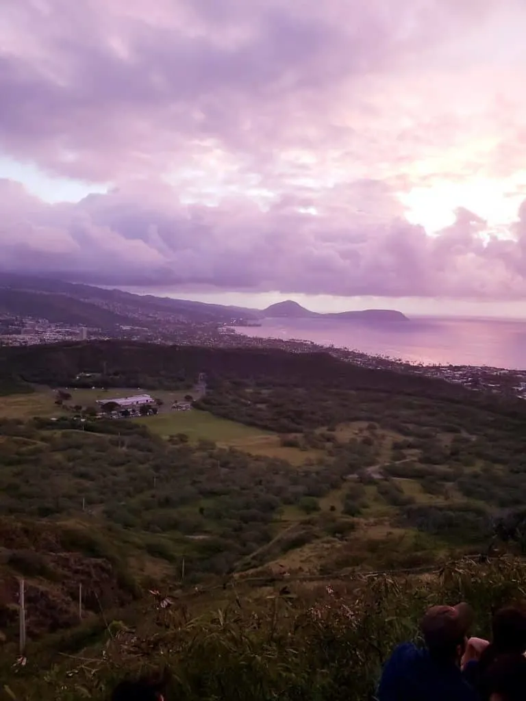 Aerial view of Hawaiian vegetation.