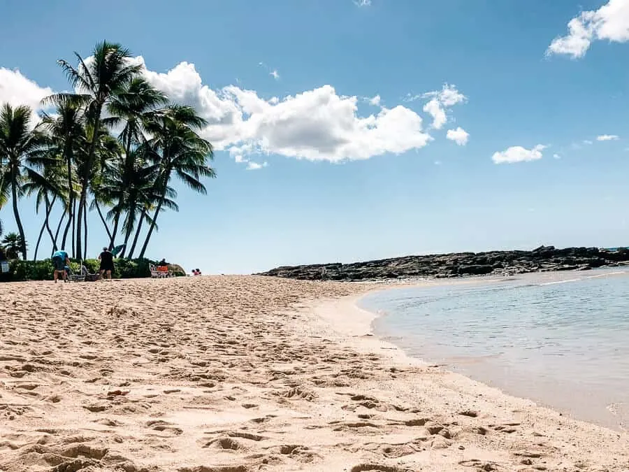 A sandy beach next to the ocean