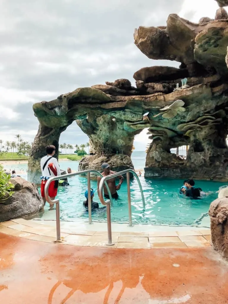 Tropical Disney water park rock feature.
