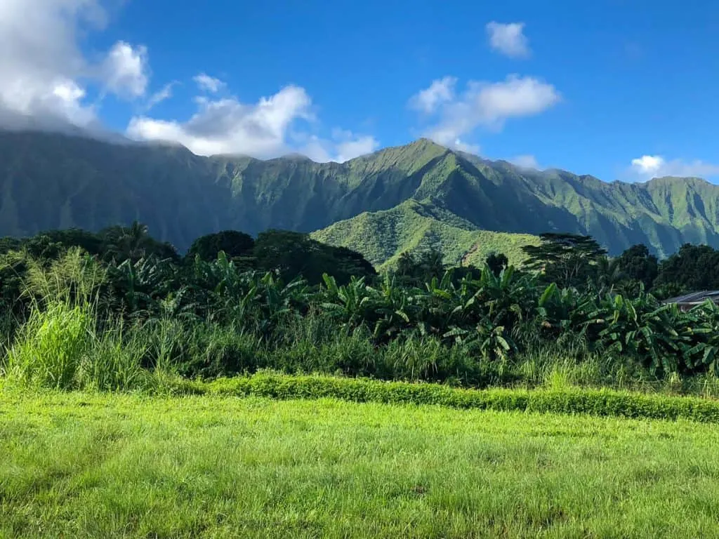 Lush North Shore Oahu mountain view.