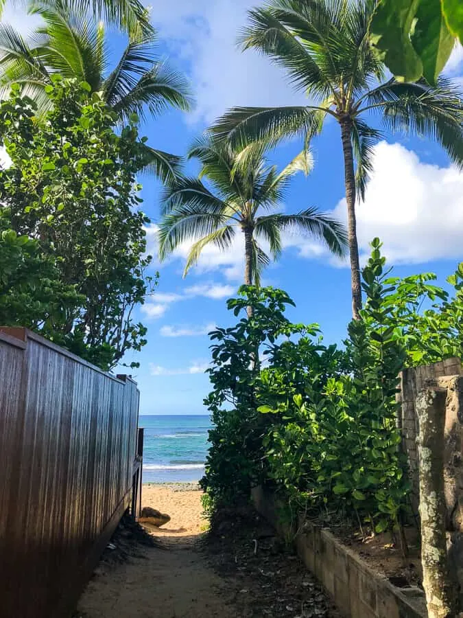 Entrance to beach in North Shore Oahu.