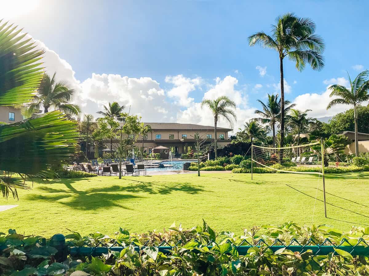 Top Things to Do North Shore Oahu in 24 Hours + Courtyard by Marriott Oahu North Shore Review