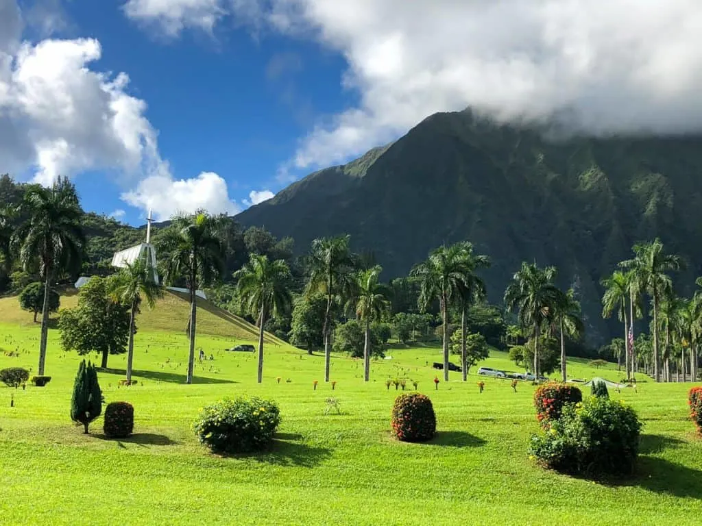 Palm trees and mountain in Hawaii.