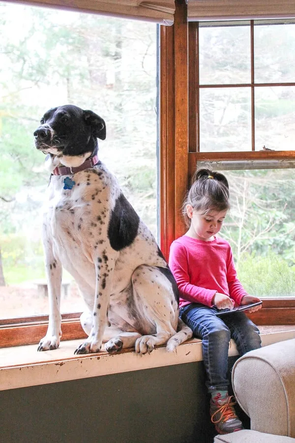 Girl plays on tablet next to family dog.