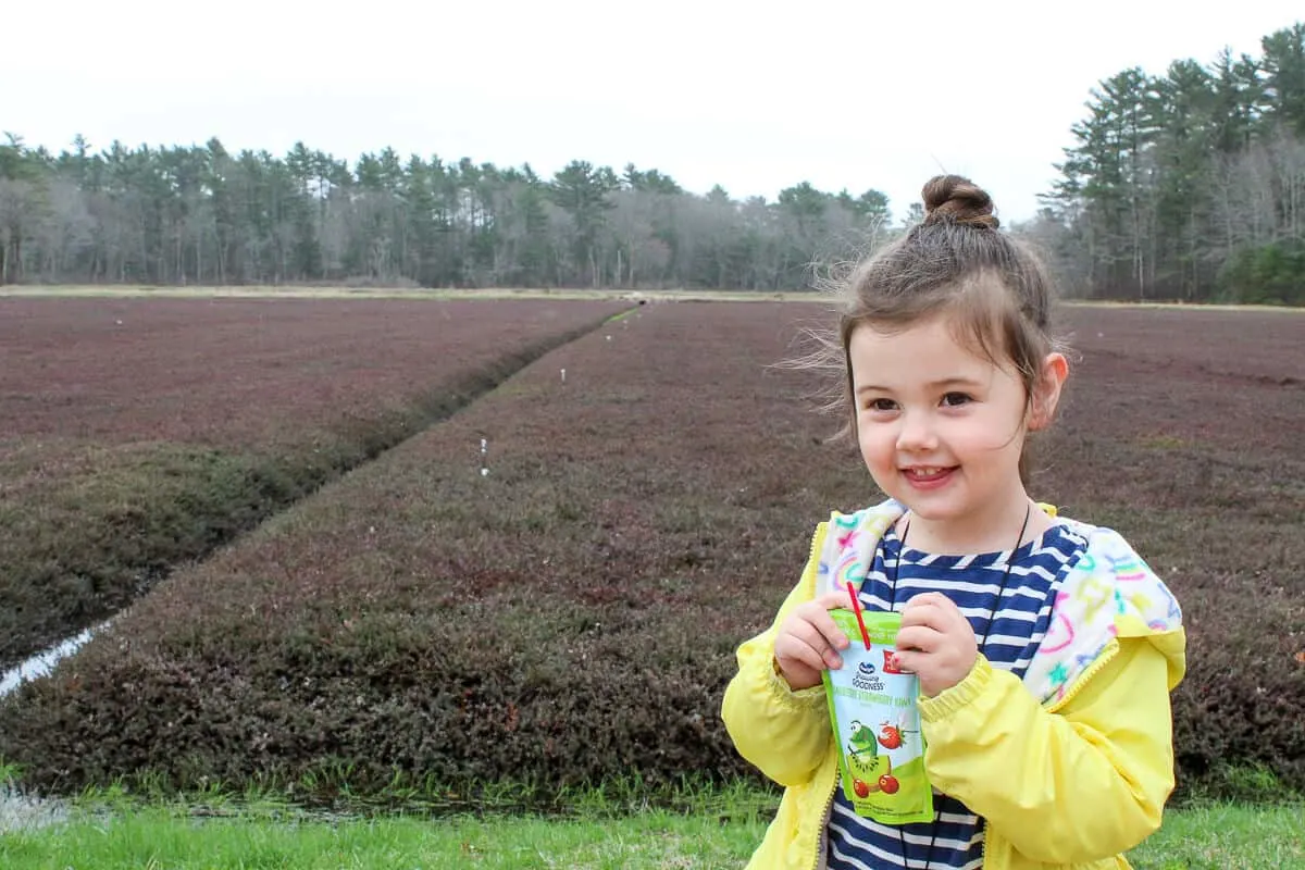 Girl at cranberry bog with Ocean Spray Growing Goodness juice drink