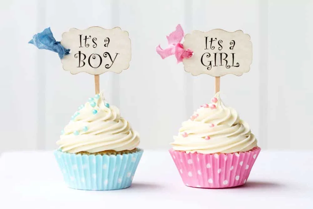 Blue and pink gender cupcakes with Its a Boy and Its a Girl decorations