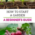 Pinnable image of how to start a garden.