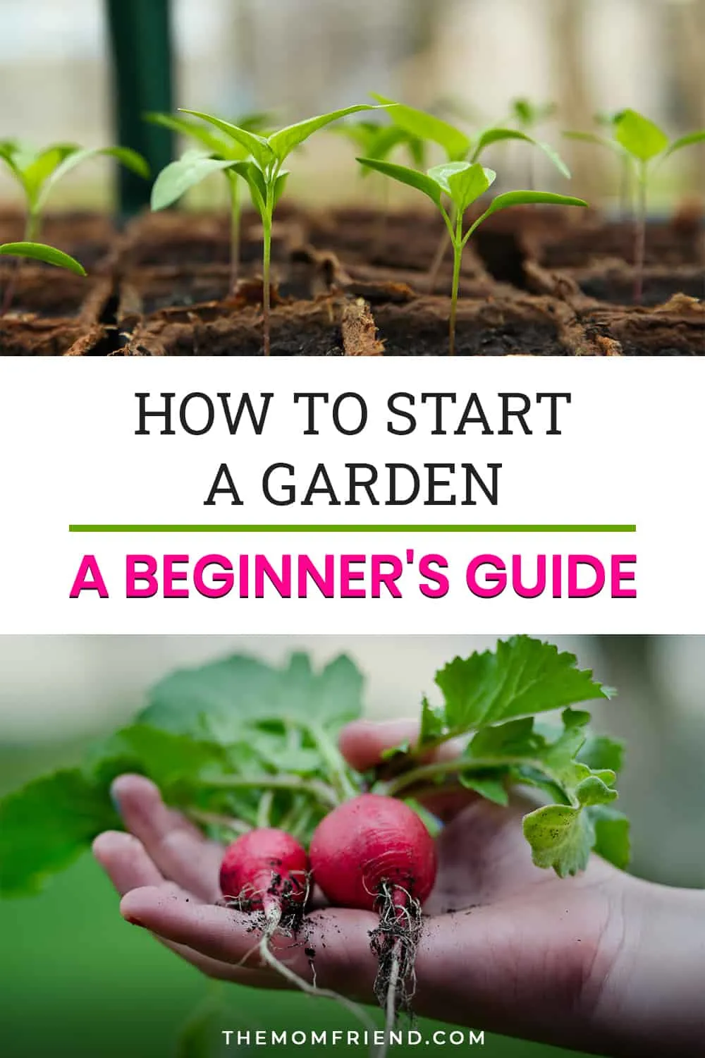 Pinnable image of how to start a garden.