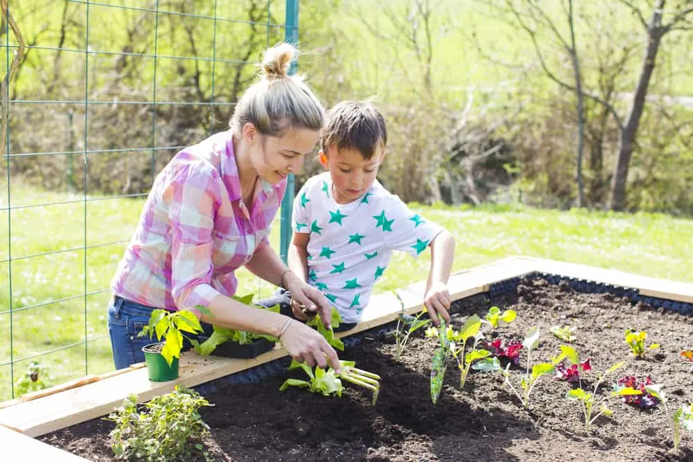 mom and son planting a garden in a raised garden bed