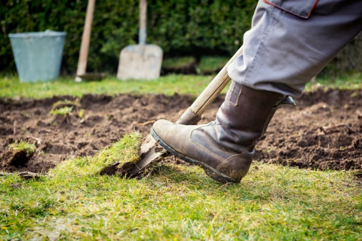 How to Start a Garden for Beginners | The Mom Friend