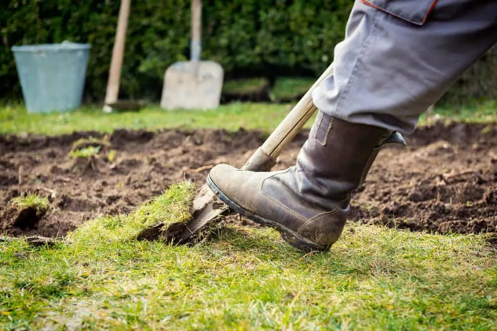 Man uses work boot to push shovel into ground.