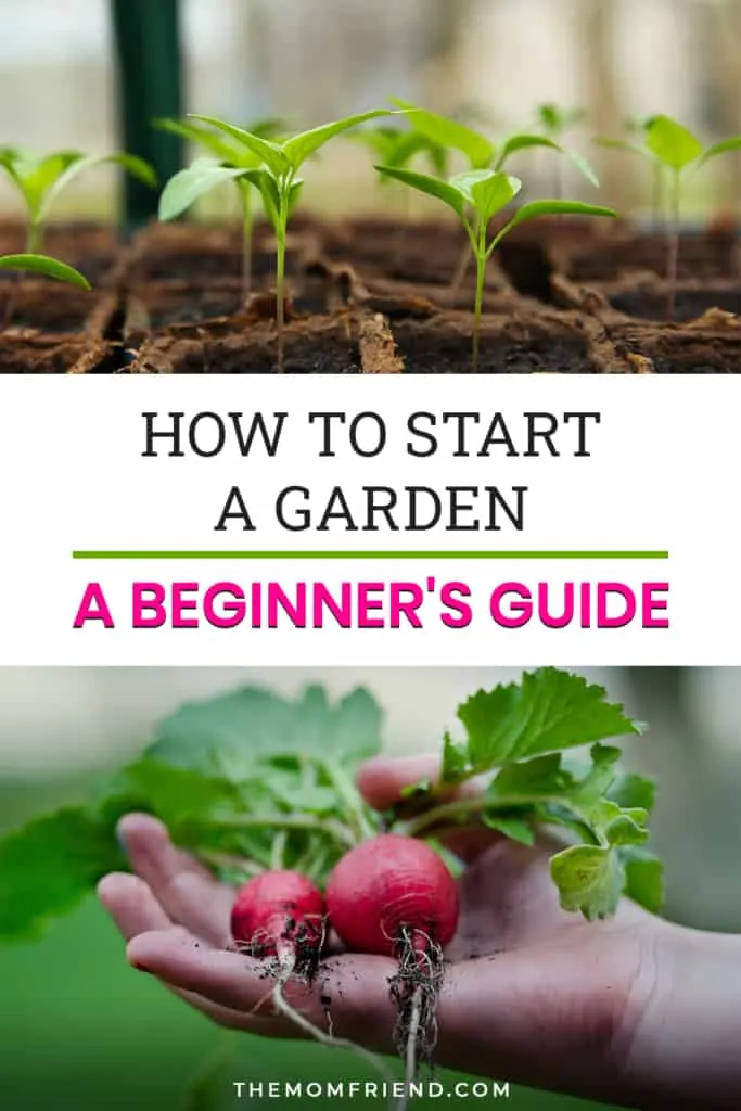 how to start a garden for beginners