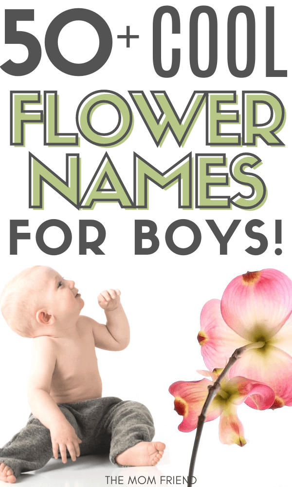Pinnable image of boy with flower from Flower Names for Boys.