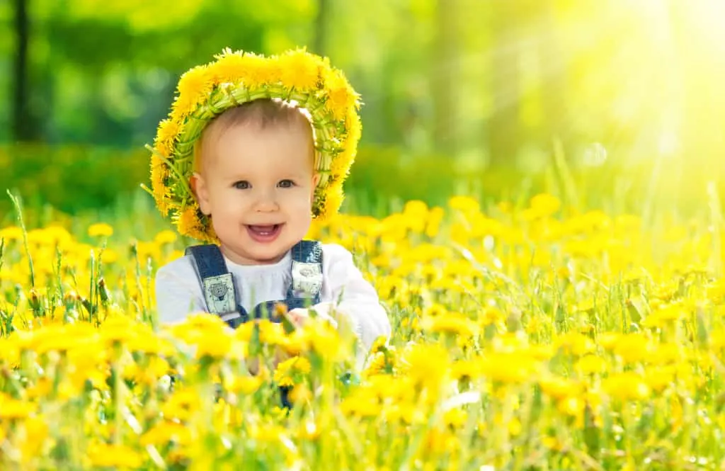 Baby wears fairy crown made of flowers, surrounded by yellow blooms.