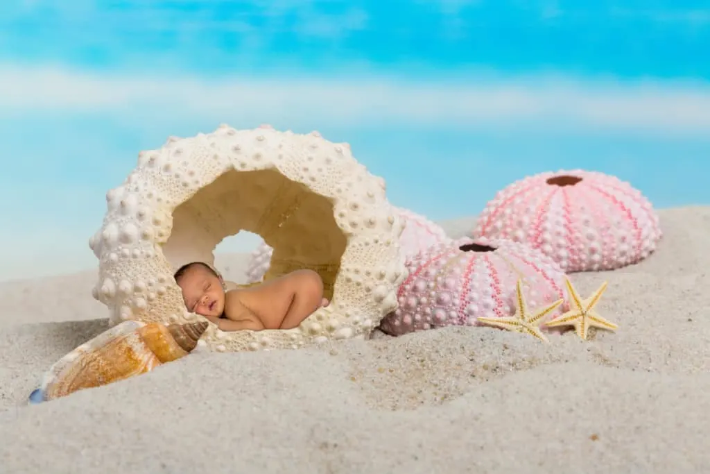 Newborn sleeps inside shell at beach.